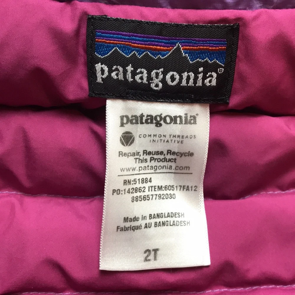 Patagonia Down Puffer Jacket (size 2T)